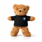 Plush Teddy Bear with Custom Shirt