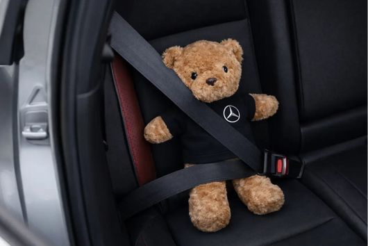 Plush Teddy Bear with Custom Shirt