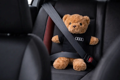 Plush Teddy Bear with Custom Shirt